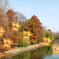 Scrabble la Timisoara