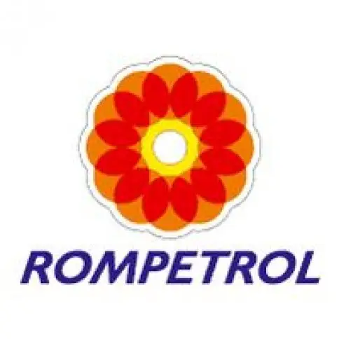 Benzinaria Rompetrol - Dumbravita DJ 69