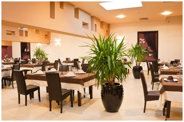 Restaurant Velvet Music