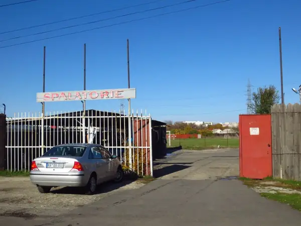 Spalatoria auto Tigers